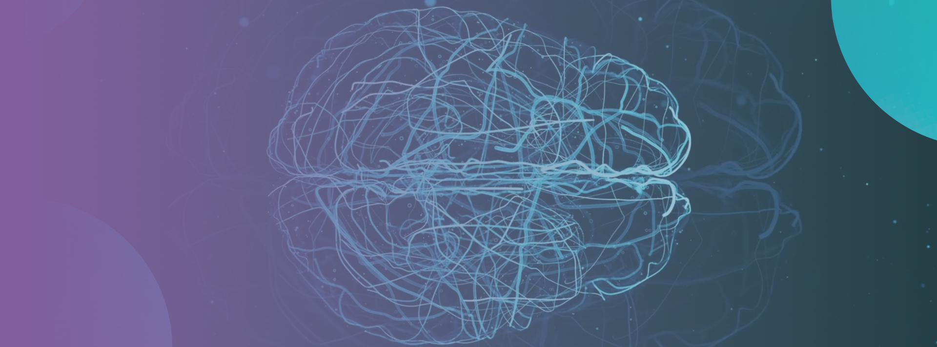Neurable Enterprise Website Development and Design Project