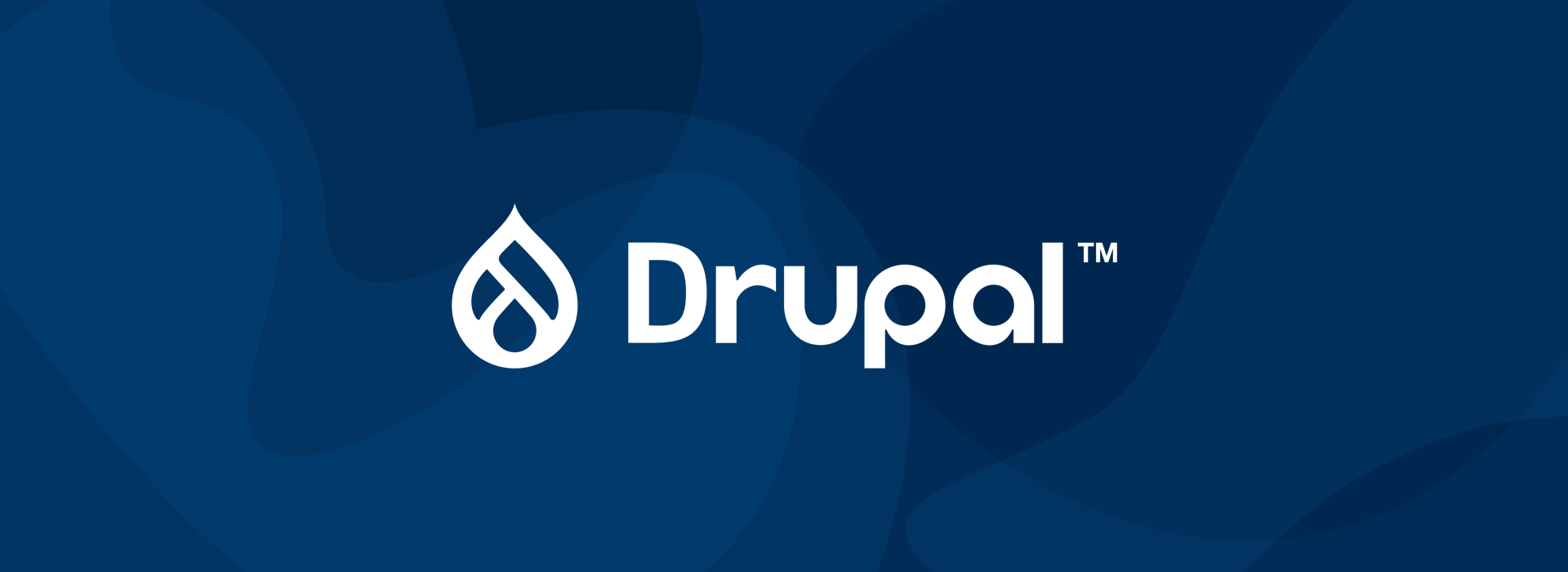 Your Content Management System Matters: Why You Should Consider Drupal 9?